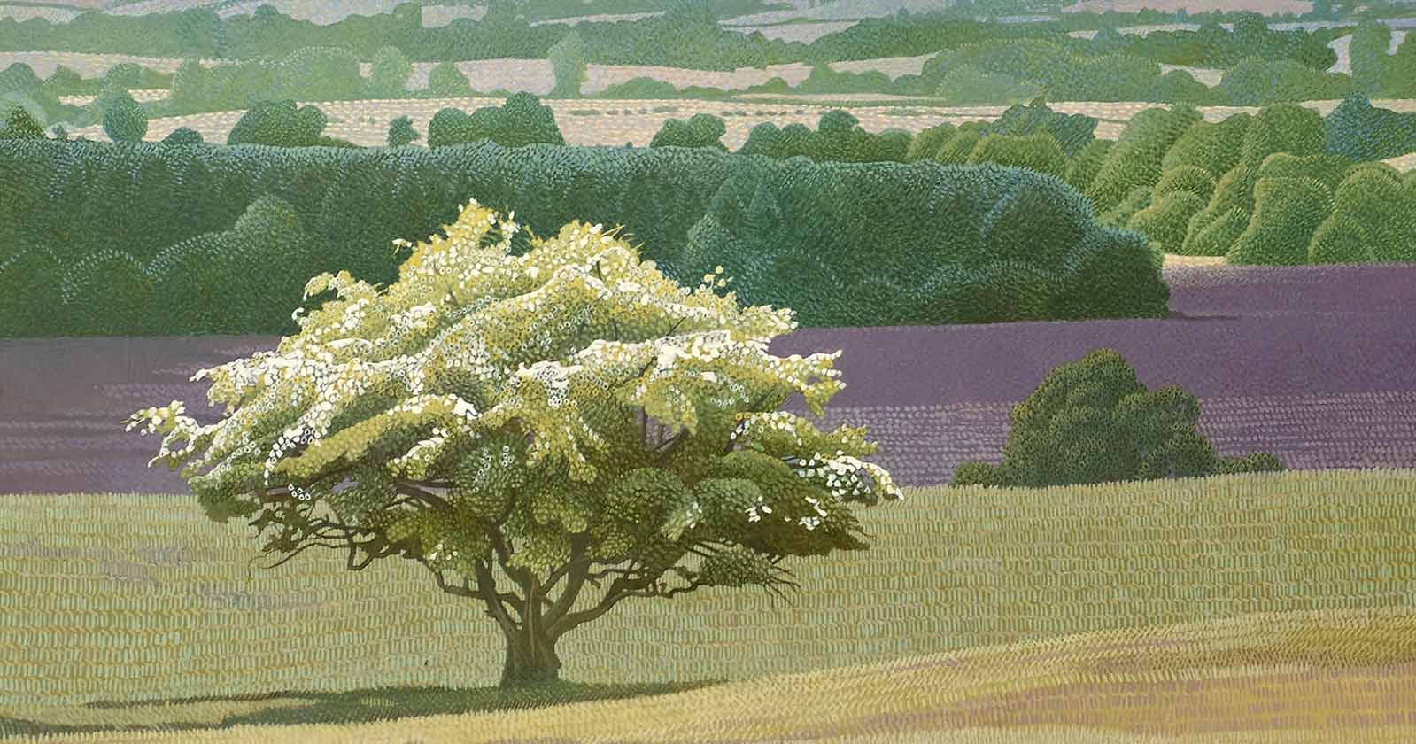 Annie Ovenden biography image