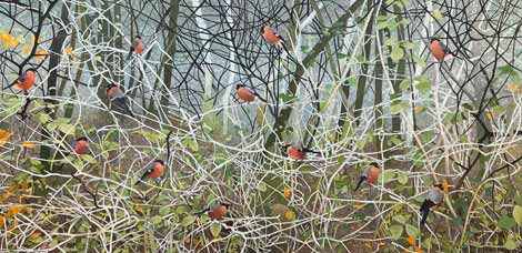 Bellowing of Bullfinches
